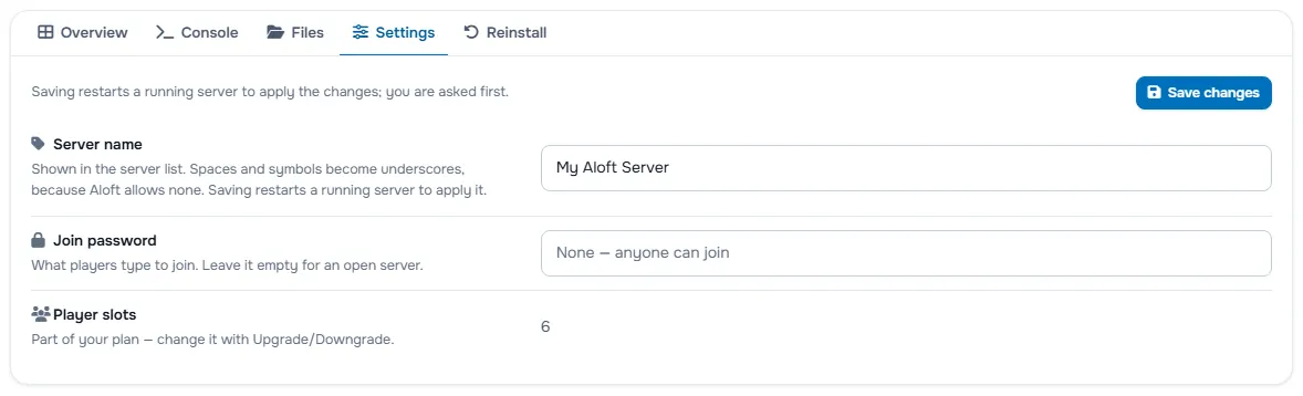 The Settings tab with the server name, the password fields and the player slots
