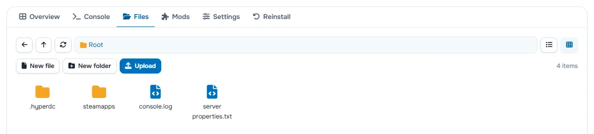 The Files tab with the folders and files of the server