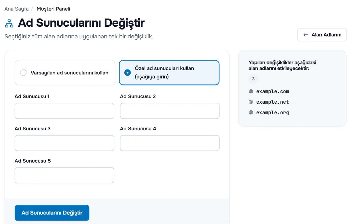 Varsayılan ve özel ad sunucusu seçenekleri, beş ad sunucusu alanı ve etkilenen alan adları listesiyle toplu Ad Sunucularını Değiştir sayfası