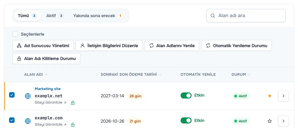 İki alan adı işaretlenmiş ve Ad Sunucusu Yönetimi, İletişim Bilgilerini Düzenle, Alan Adlarını Yenile, Otomatik Yenileme Durumu ve Alan Adı Kilitleme Durumu toplu işlemleri görünen Alan Adlarım