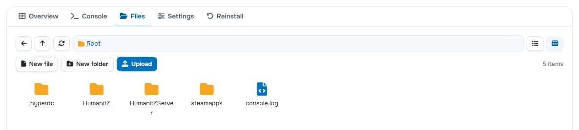 The Files tab with the folders and files of the server