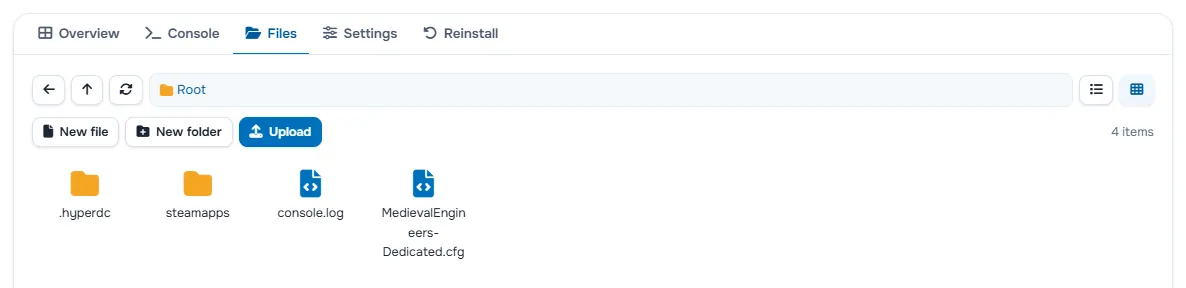 The Files tab with the folders and files of the server
