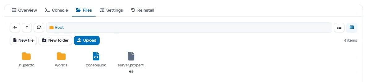 The Files tab with the folders and files of the server