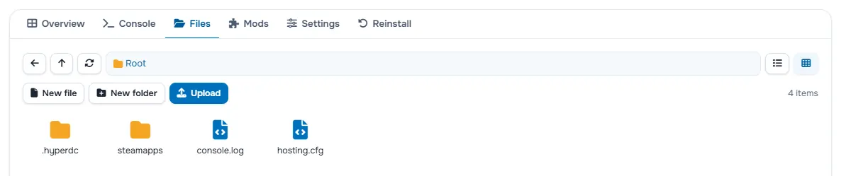 The Files tab with the folders and files of the server