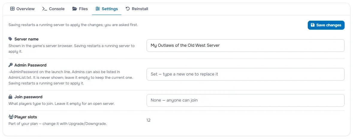 The Settings tab with the server name, the password fields and the player slots