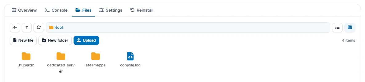 The Files tab with the folders and files of the server