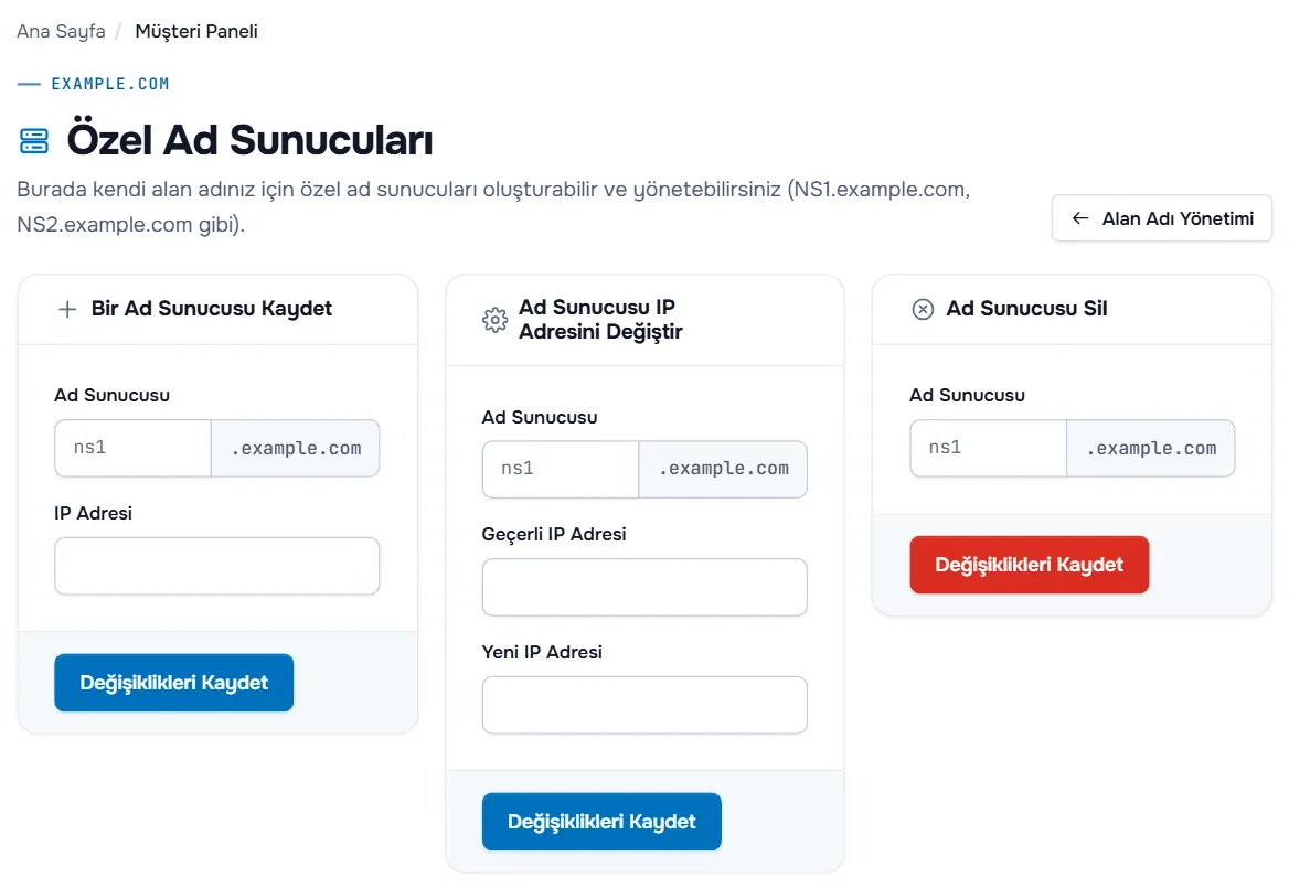 Bir Ad Sunucusu Kaydet, Ad Sunucusu IP Adresini Değiştir ve Ad Sunucusu Sil kartlarıyla Özel Ad Sunucuları sayfası
