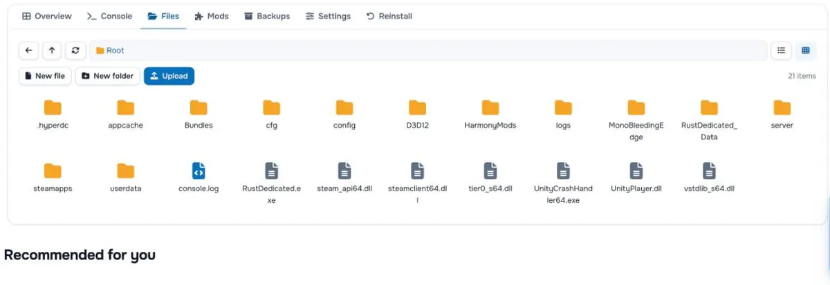 Sunucunun klasörleri ve dosyalarıyla Files sekmesi