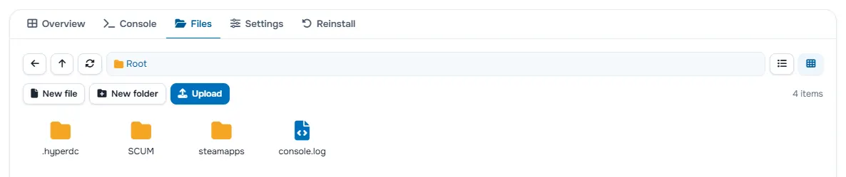 The Files tab with the folders and files of the server