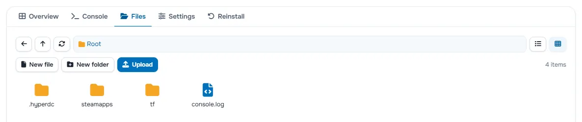 The Files tab with the folders and files of the server