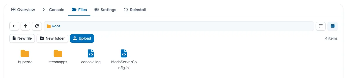 The Files tab with the folders and files of the server