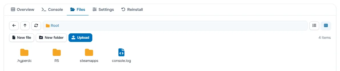 The Files tab with the folders and files of the server
