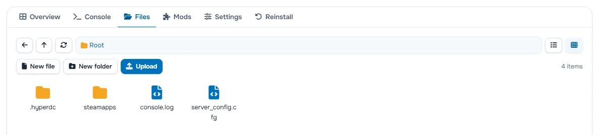 The Files tab with the folders and files of the server